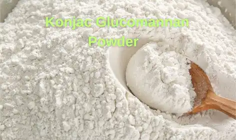 What Roles Does Konjac Glucomannan Powder Play in Intestinal Health?